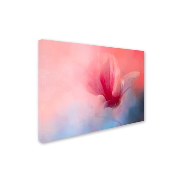 Jai Johnson 'Spring Tulip Magnolia' Canvas Art,24x32